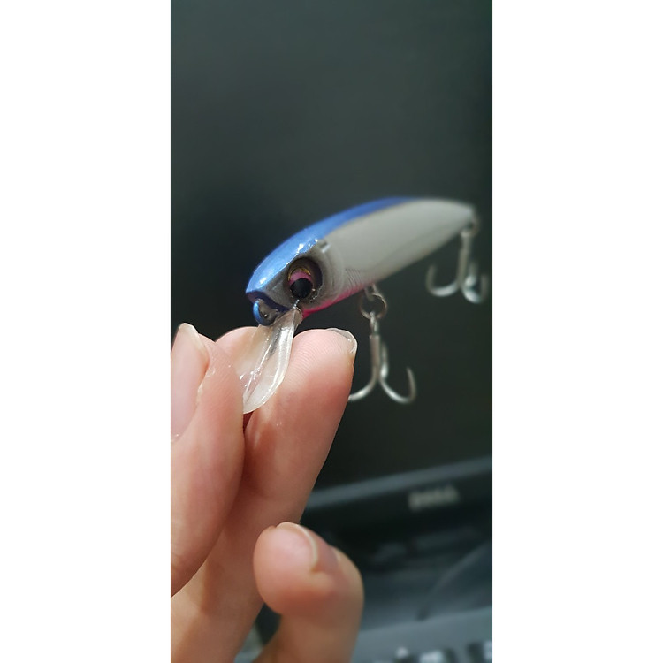 Đồ Câu Cá Chẽm