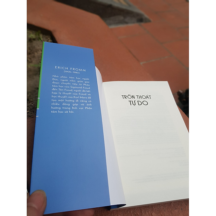 TRỐN THOÁT TỰ DO - Ảnh 3