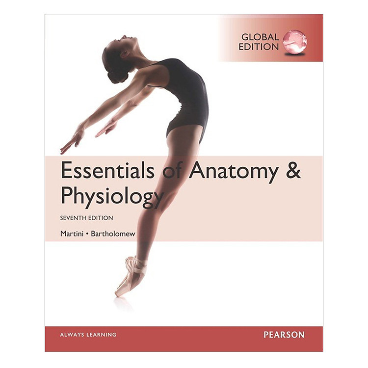 Essentials Of Anatomy And Physiology