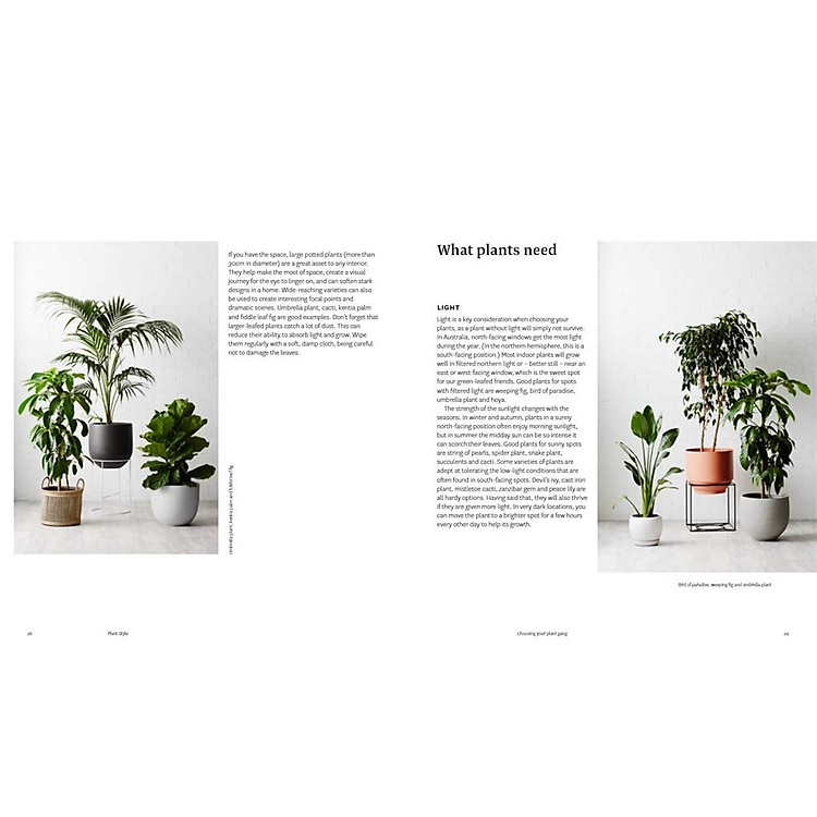 Plant Style: How To Greenify Your Space - Ảnh 4