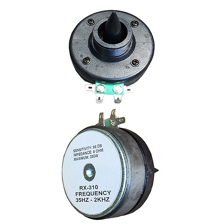 Củ loa chép rời chép kèn Hải Triều (hàng chính hãng)