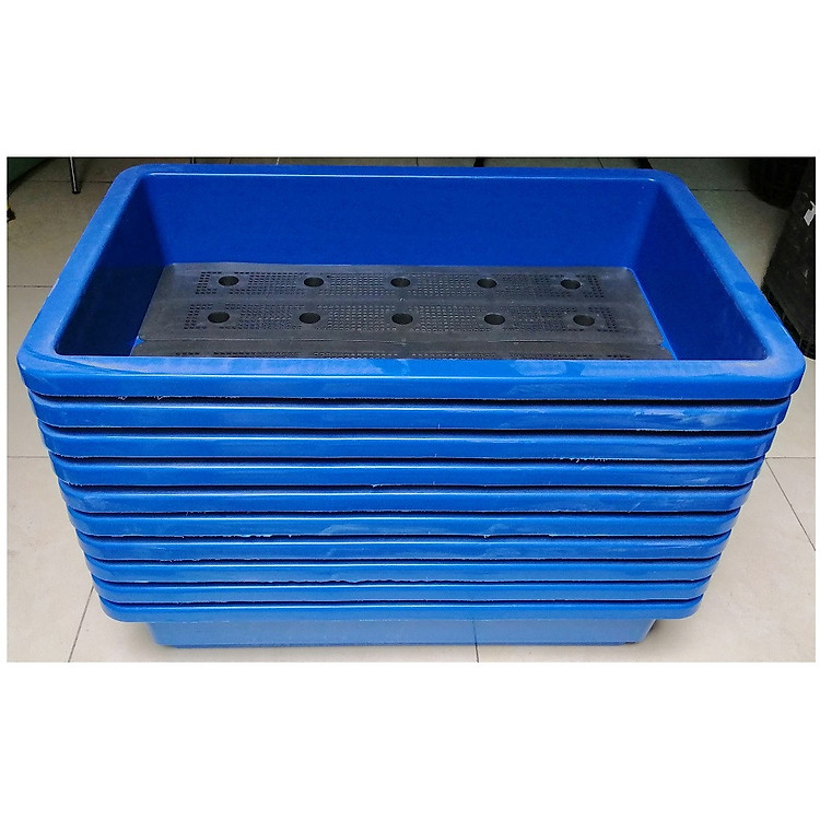 10 KHAY NHỰA TRỒNG RAU KÍCH THƯỚC 68X42X15CM - MÀU XANH
