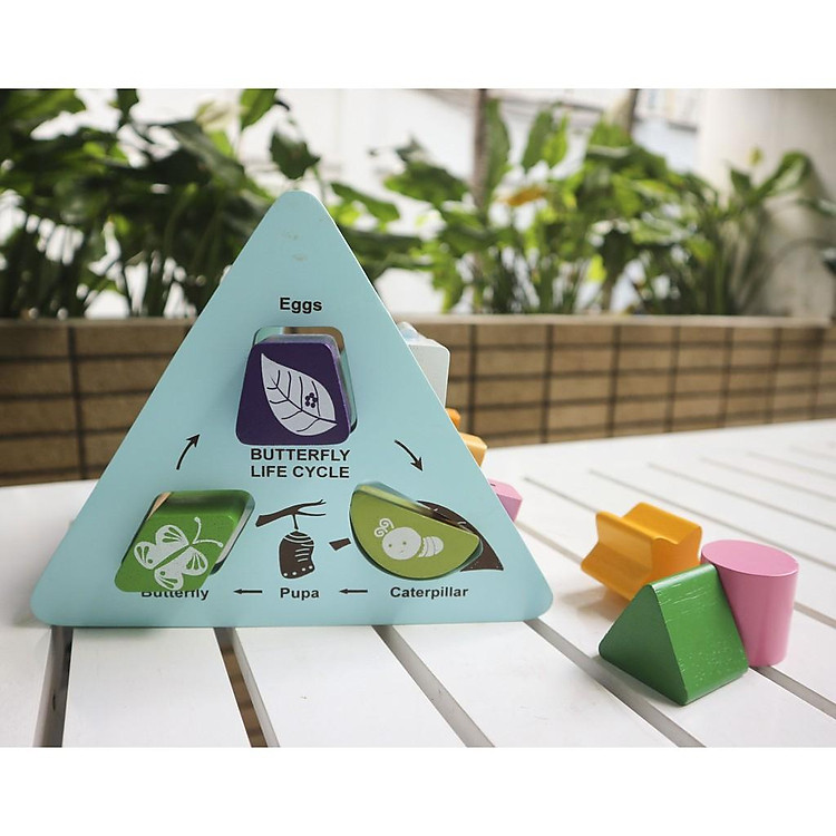 Mua Đồ Chơi Gỗ Đa Năng Winwintoys Chính hãng Giá tốt - Hình ảnh 5