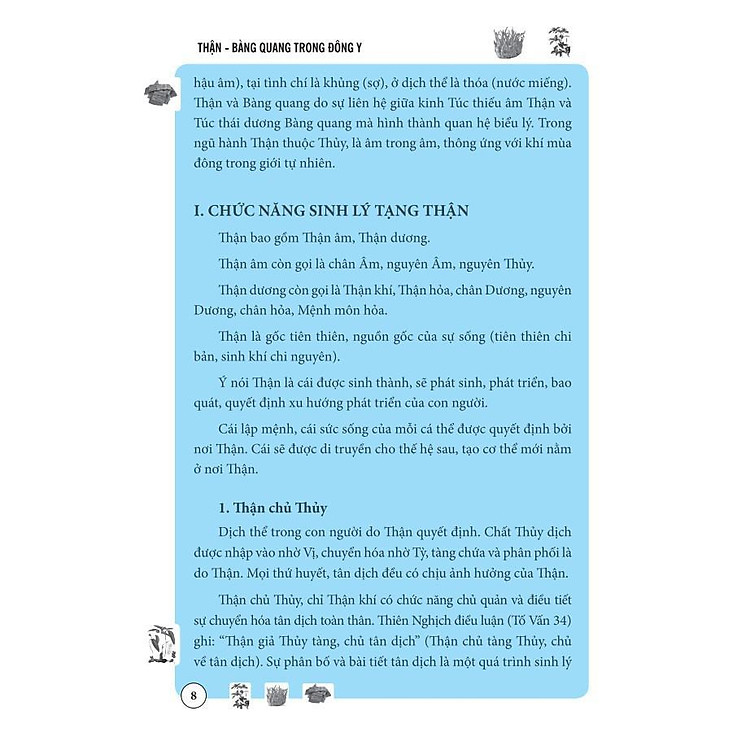 Thận Bàng Quang Trong Đông Y - Ảnh 4