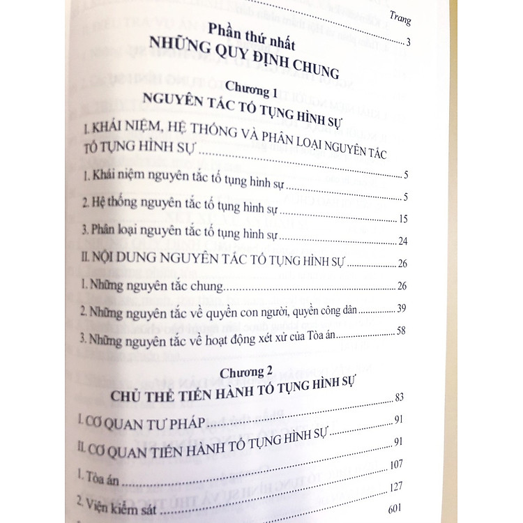 Pháp Luật Tố Tụng Hình Sự Với Việc Bảo Vệ Quyền Con Người - Ảnh 4