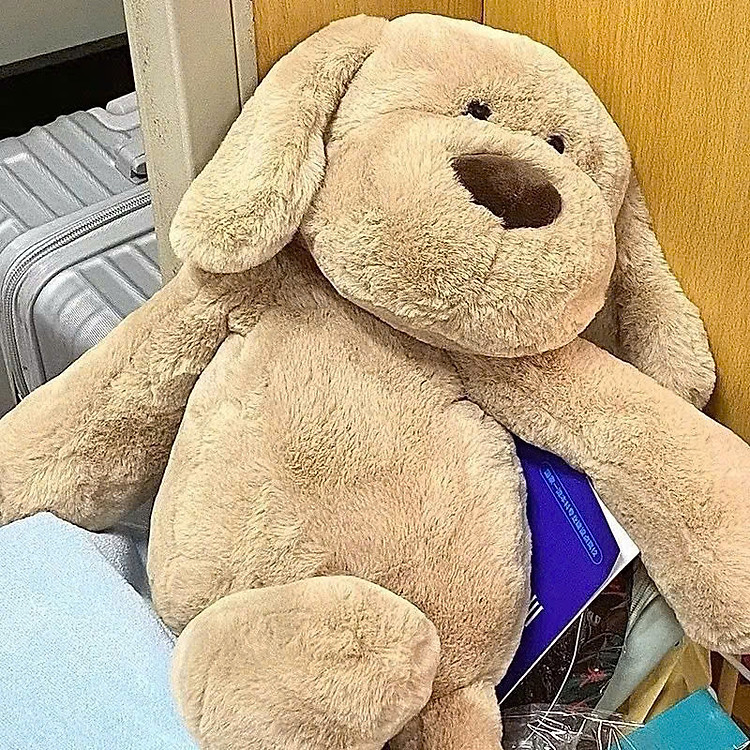 Mua Cún Bông Nâu Tai Dài Dễ Thương Chính hãng Giá tốt - Hình ảnh 3