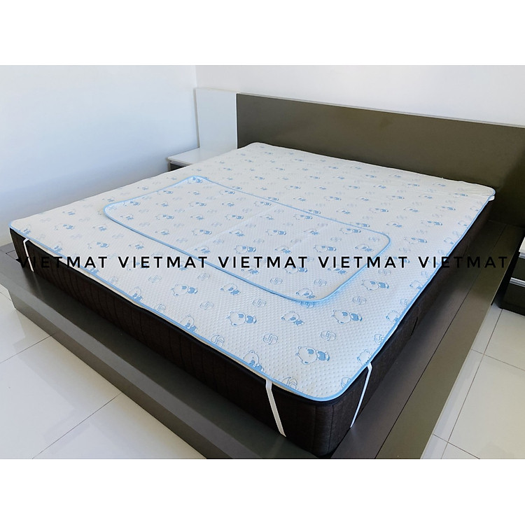 Tìm mua tại Avakids:Combo 2 Tấm Lót Chống Thấm VIETMAT Xanh, tràn ngập Khuyến mãi, Ưu đãi
