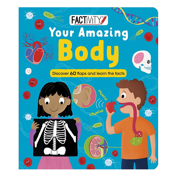 Sách Factivity - Your Amazing Body