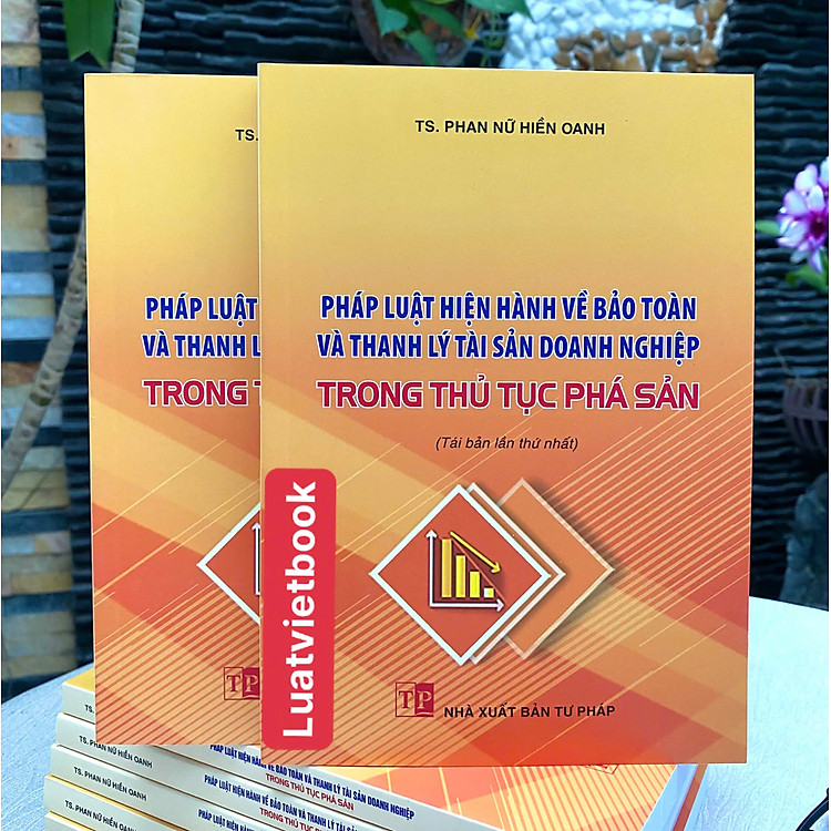 Pháp Luật Hiện Hành Về Bảo Toàn Và Thanh Lý Tài Sản Doanh Nghiệp Trong Thủ Tục Phá Sản - Ảnh 2