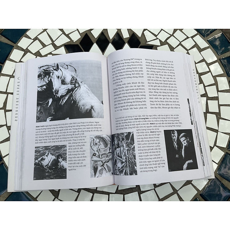 CON NGƯỜI VÀ BIỂU TƯỢNG - MAN AND HIS SYMBOLS - Sự thông đạt từ những biểu tượng trong giấc mơ - Ảnh 2