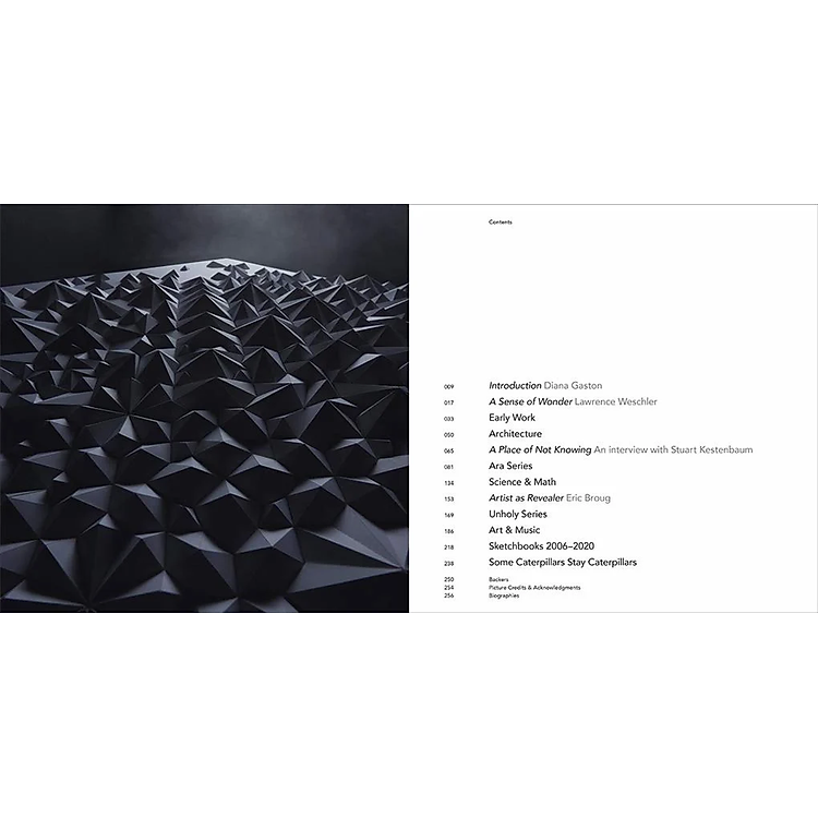 Unfolding: The Paper Art and Science of Matthew Shlian - Ảnh 5