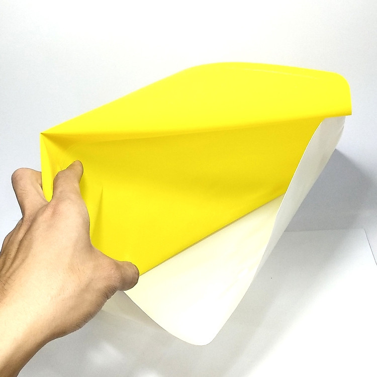 Bìa 1 Nút 2 Màu F King-Star (Màu Vàng) - Ảnh 2