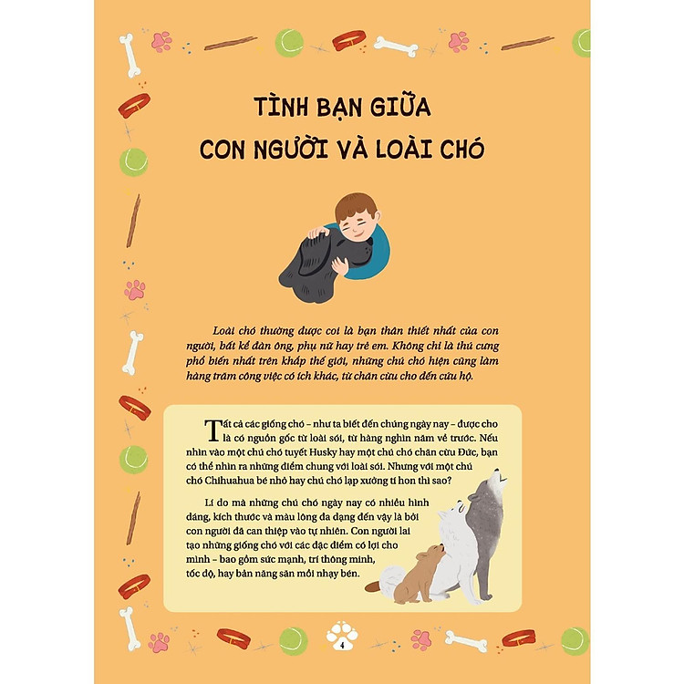 Những Câu Chuyện Về Loài Chó - Những Câu Chuyện Có Thật Về Các Chú Chó Anh Hùng - Ảnh 2