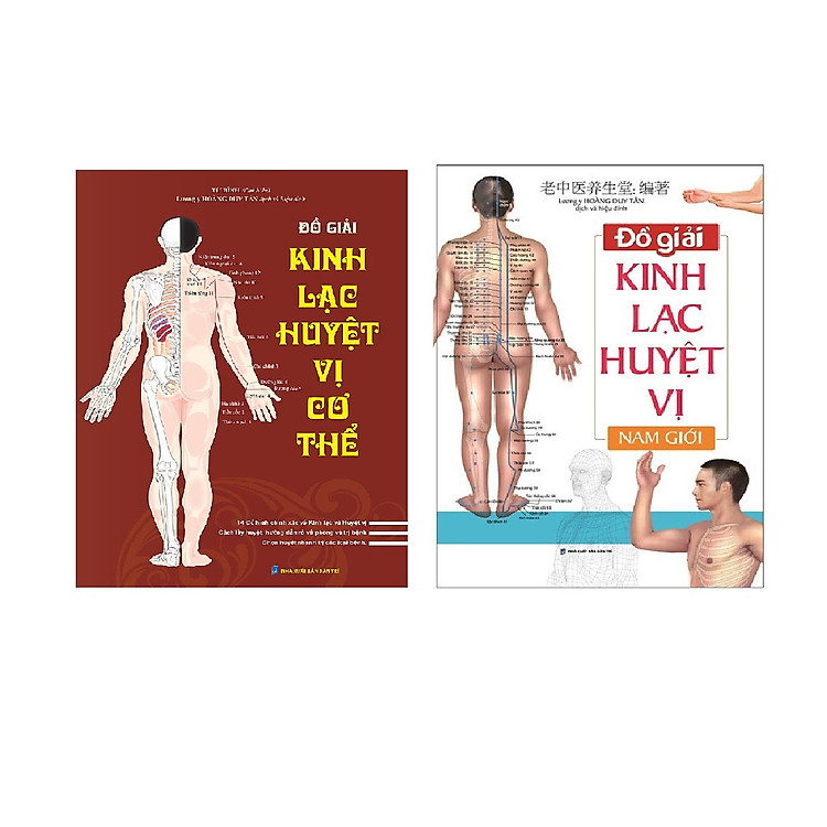 Đồ Giải Kinh Lạc Huyệt Vị Cơ Thể / Đồ Giải Kinh Lạc Huyệt Vị Nam Giới