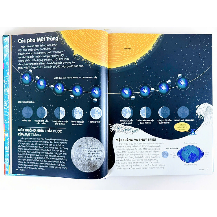 Bách Khoa Thư Bằng Đồ Họa - Ảnh 5