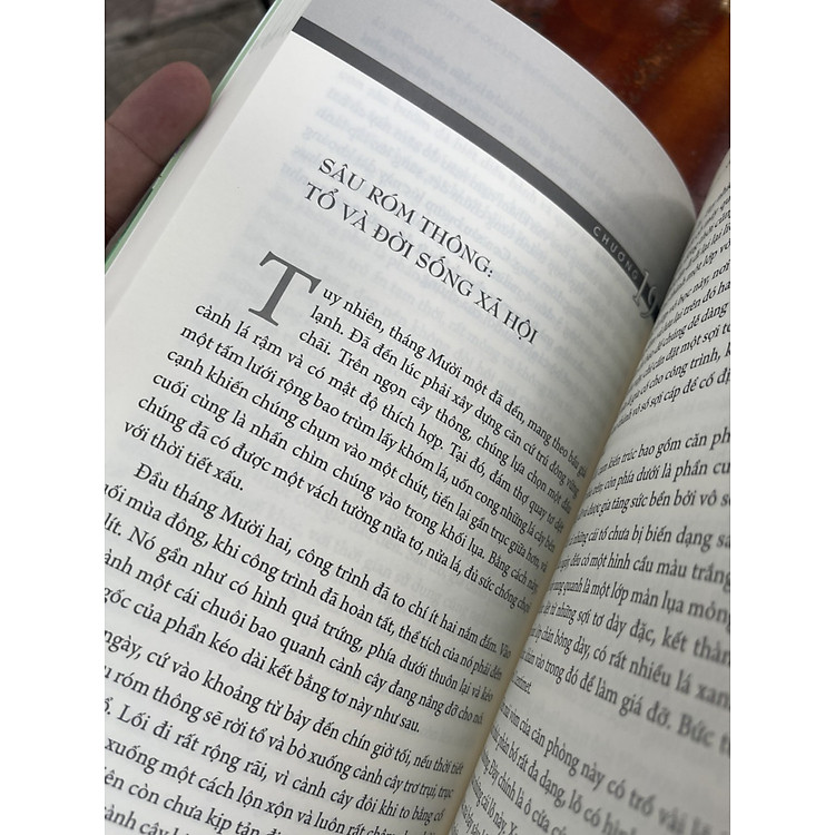 CÔN TRÙNG KÝ – Tập 6 - Ảnh 4