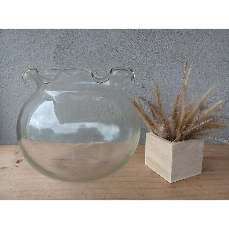 Bình nuôi cá, bình thủy tinh nuôi cá miệng bèo cao 21,5cm đường kính 25 cm, Tặng lọ thủy tinh 5ml kiểu có nắp đậy xinh xắn, bình thủy tinh thích hợp nuôi cá hoặc trồng các loại cây thủy sinh giúp trang trí căn phòng