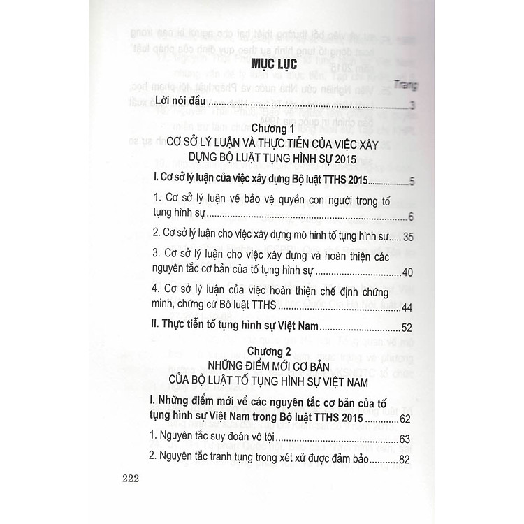 Cở Sở Lý Luận Và Thực Tiễn Của Bộ Luật Tố Tụng Hình Sự 2015 - Ảnh 3