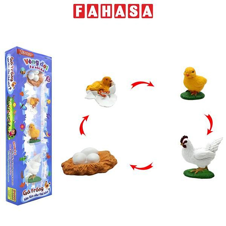 Mua Đồ Chơi Mô Hình Vòng Đời Gà Trống Chính hãng Giá rẻ