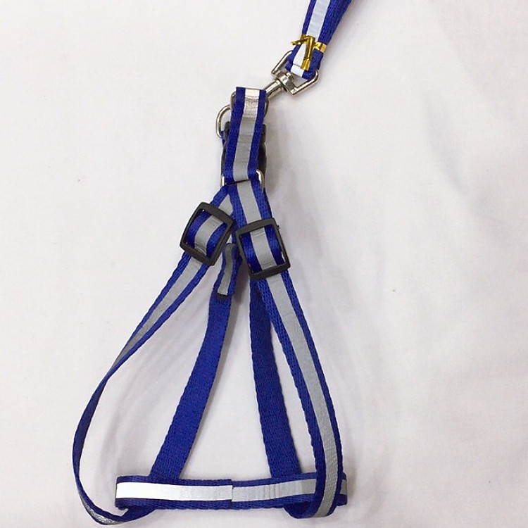 Bộ dây và vòng cổ dạ quang cho chó mèo - Giao màu ngẫu nhiên