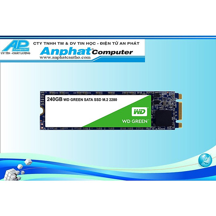 Ổ Cứng SSD WD Green 240GB M.2 2280 WDS240G3G0B - Hàng Chính Hãng