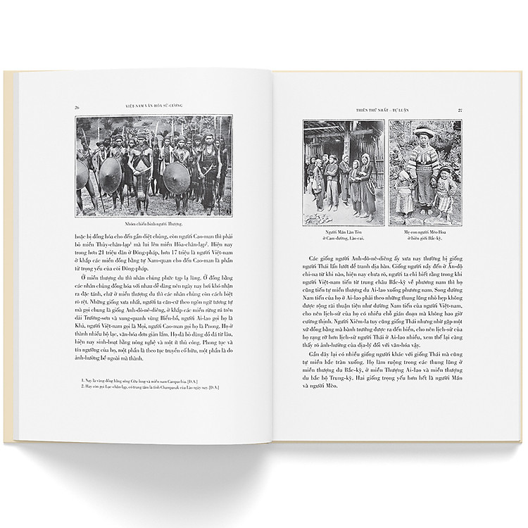 Việt Nam Văn Hoá Sử Cương - Ảnh 4