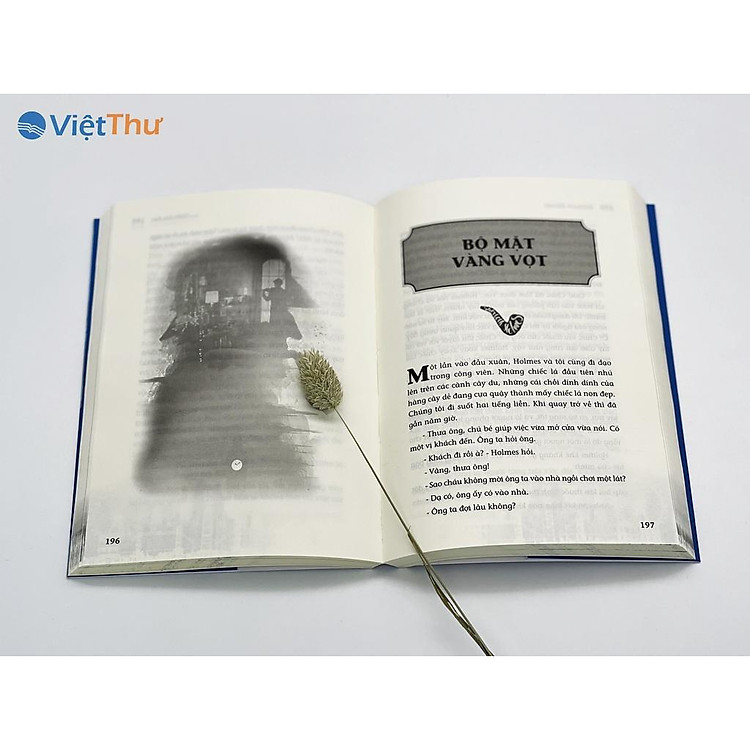 Sherlock Holmes - Con Chó Của Dòng Họ Bakjevelle - Ảnh 2