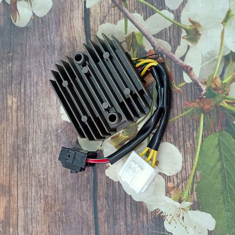 Sạc điện xe SH - Cục nạp xe SH - G2841