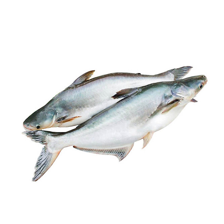 Cá Basa Cắt Khoanh Tươi Ngon - ( 450-550gr) - Sản phẩm nhập tươi trong ngày