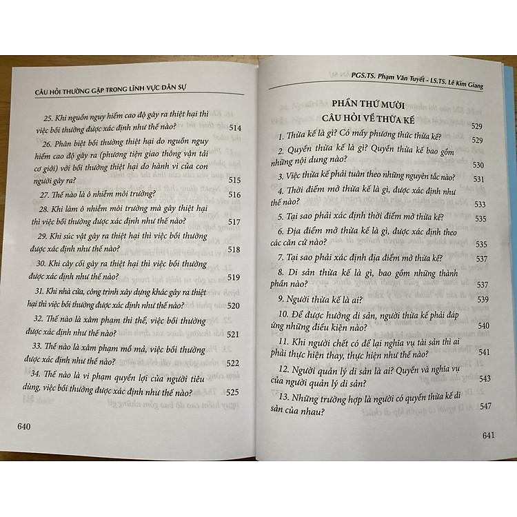 Các câu hỏi thường gặp trong lĩnh vực dân sự - Ảnh 6