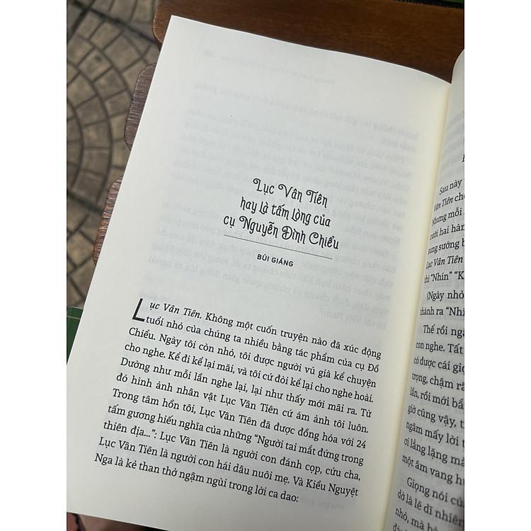 LỤC VÂN TIÊN và những luận đề về NGUYỄN ĐÌNH CHIỂU (Ấn bản kỷ niệm 200 năm ngày sinh Đồ Chiểu) - Ảnh 3