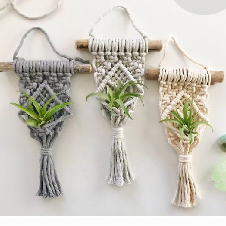 Combo 3 Mành dây macrame treo chậu cây (giao màu ngẫu nhiên)