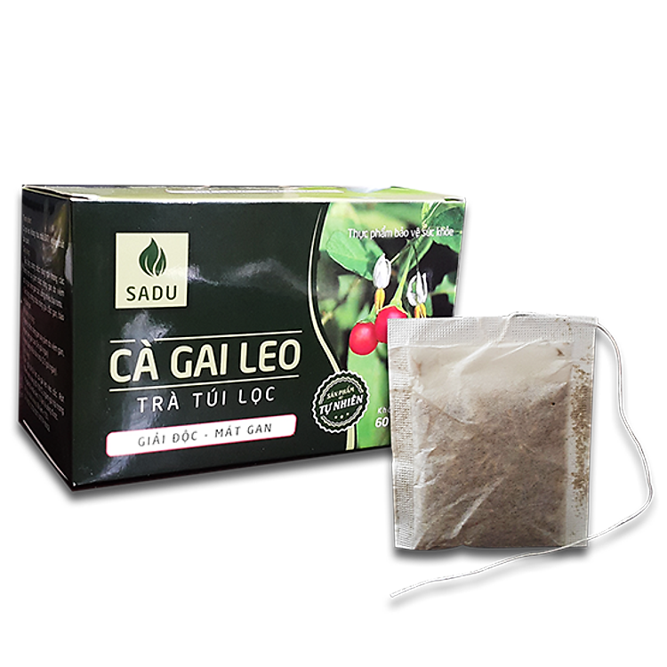 Trà Túi Lọc cà gai leo SADU