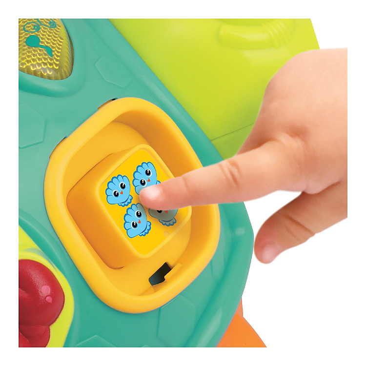 Đồ Chơi Rùa Học Hình Khối WINFUN Chính hãng Ưu đãi - Hình ảnh 3