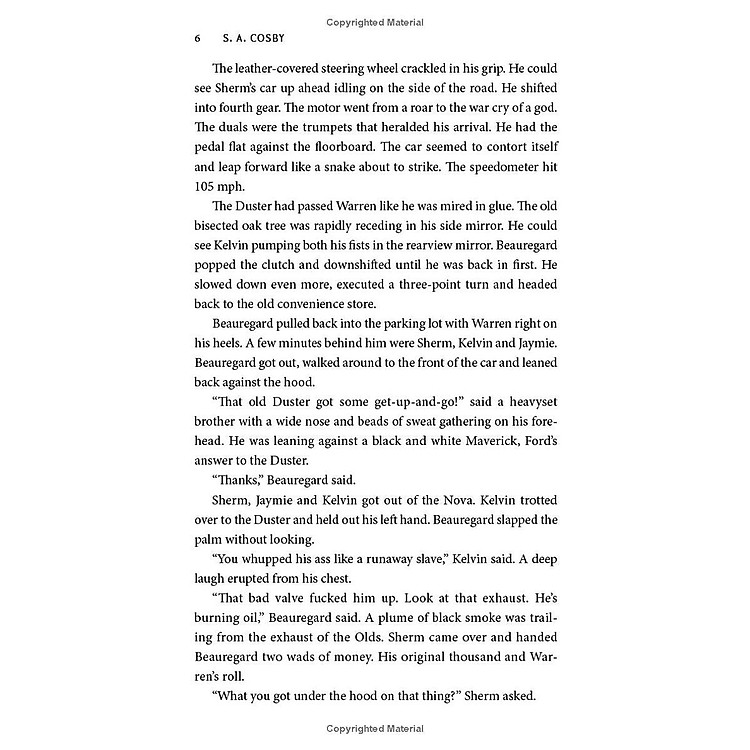 Blacktop Wasteland - Ảnh 6