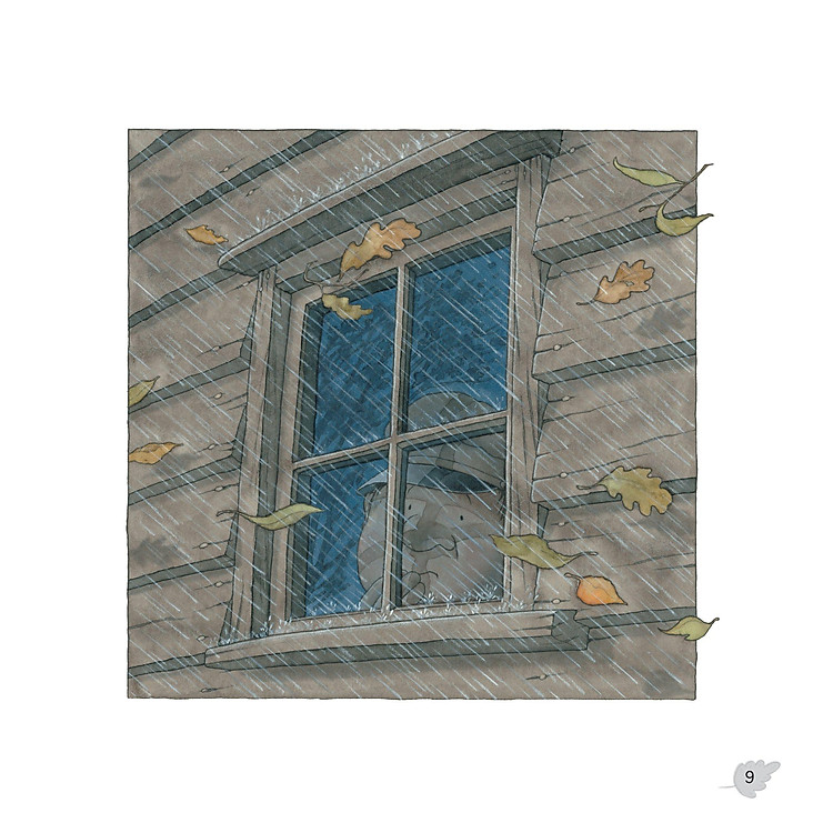 Gieo Mầm Yêu Thương - Sau Cơn Bão (Dành Cho Trẻ Từ 3-9 Tuổi) - Ảnh 5