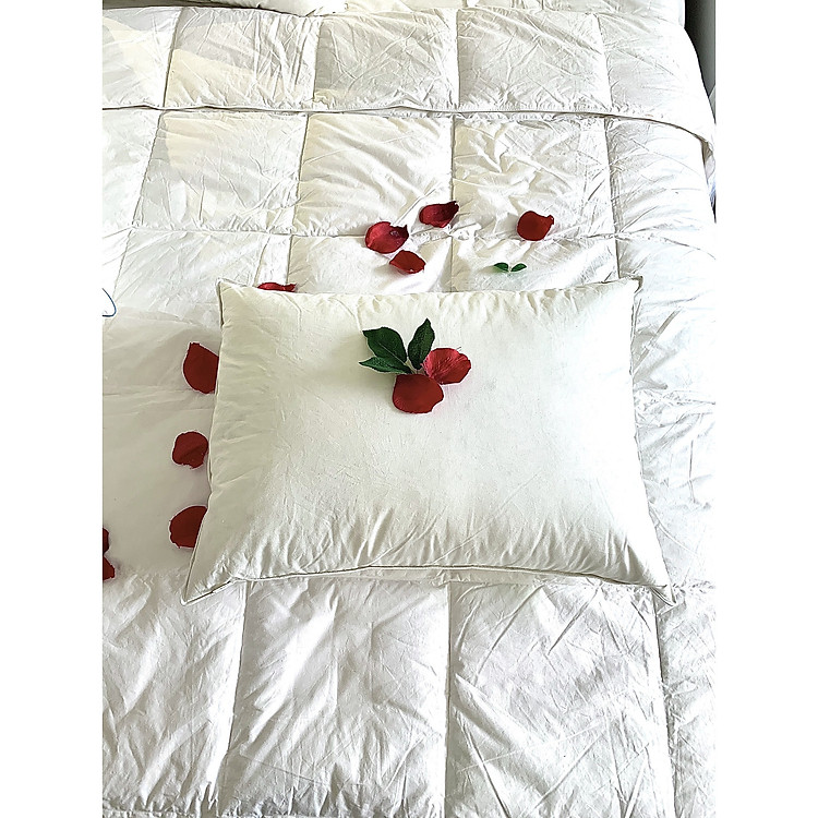 Ruột gối lông vũ cao cấp chuyên dùng trong khách sạn 5* thương hiệu CANASIN