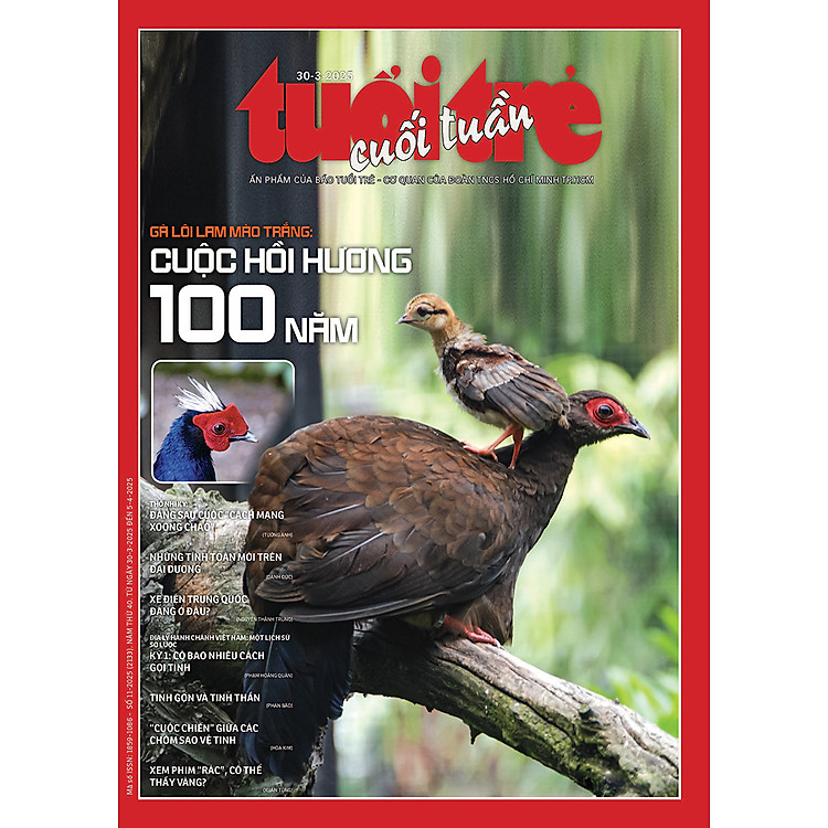 Tuổi Trẻ Cuối Tuần số 11