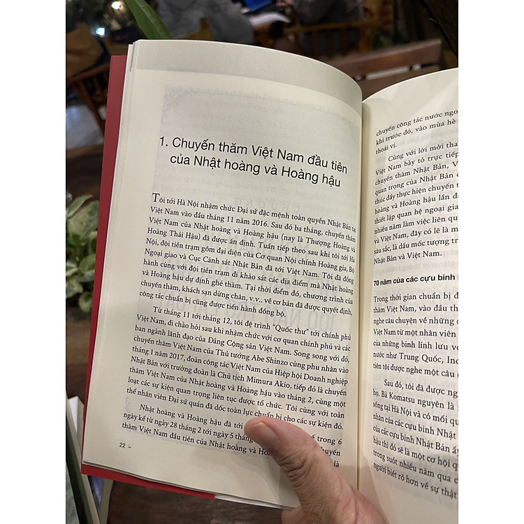 NHẬT BẢN VÀ VIỆT NAM LÀ “ĐỒNG MINH TỰ NHIÊN” - Umeda Kunio - Ảnh 5