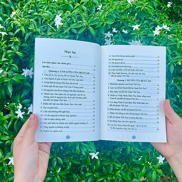 Làm Sao Biết Có Bồ Tát Quán Thế Âm Độ Người Thoát Khỏi Biển Khổ - Ảnh 4