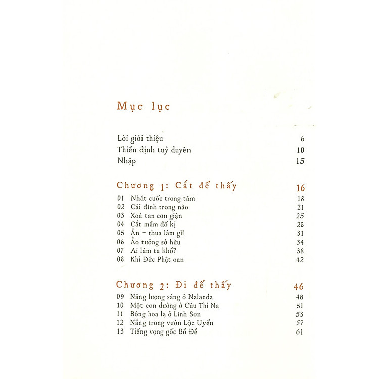 39 Đoản Thiền Để Thấy - Những Câu Chuyện Chữa Lành - Ảnh 2