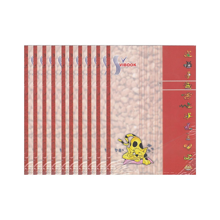 Cuốn Tập Sinh Viên Vibook (96 trang)