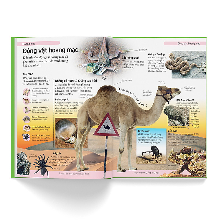 Bách Khoa Cho Trẻ Em – Bách Khoa Tự Nhiên - Ảnh 4