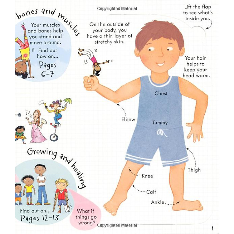 Tương Tác Tiếng Anh: Look Inside Your Body - Ảnh 3