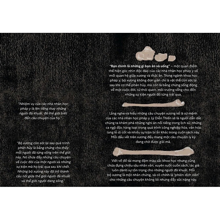 Hồ Sơ Di Cốt - Lý Diễn Thiến