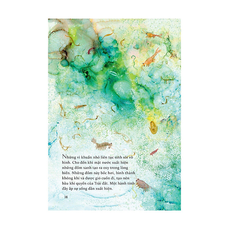 Life - Lược Sử Và Nguồn Gốc Của Trái Đất - Ảnh 3