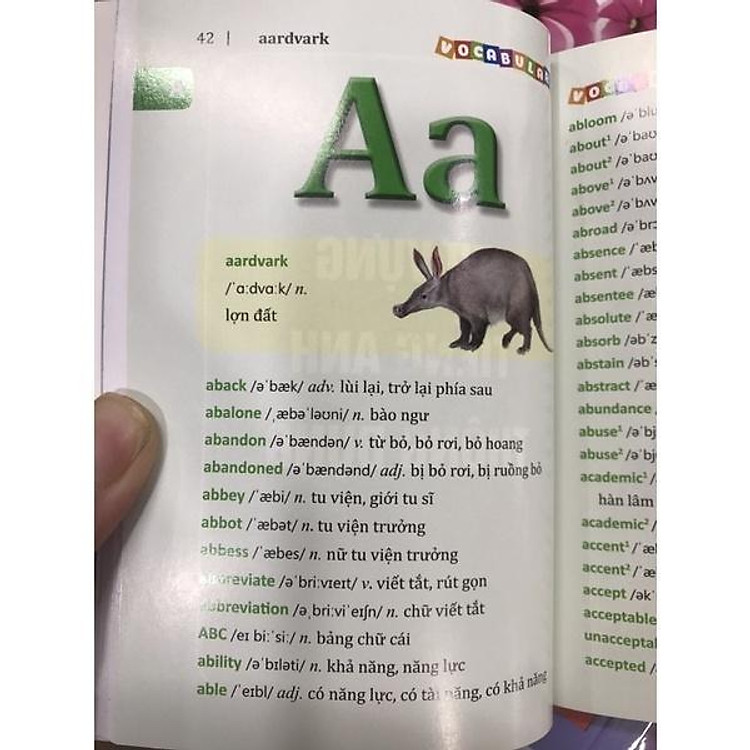 Màu - 5500 Từ Vựng Tiếng Anh Thông Dụng Nhất - Ảnh 3
