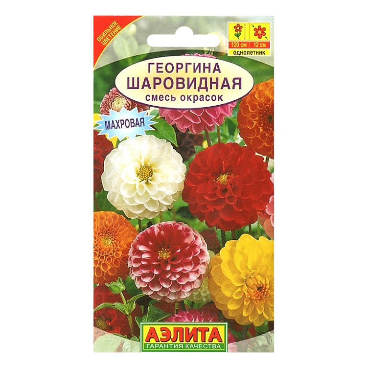 Hạt Giống Thược Dược Kép Ailita (0,2g)