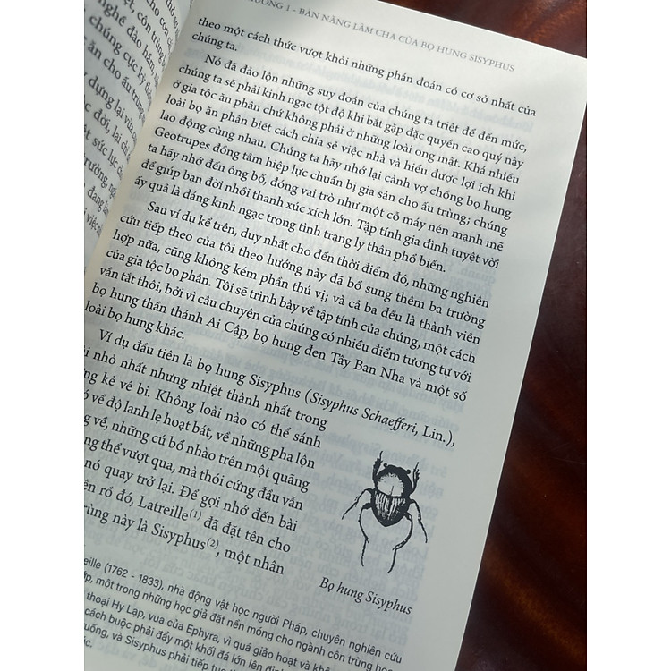 CÔN TRÙNG KÝ – Tập 6 - Ảnh 2