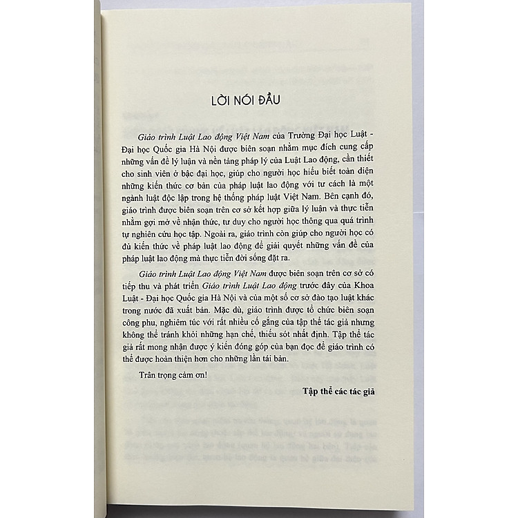 Giáo Trình Luật Lao Động Việt Nam - Ảnh 3